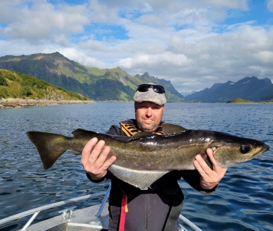 Lofoten And Vesteralen Kveldro Myrland 외부 사진